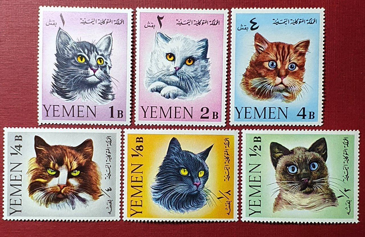 حیوانات << گربه >> پادشاهی یمن  1965