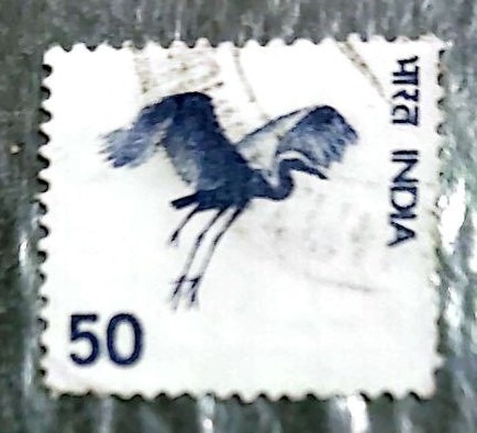 پرندگان مهاجر آسیایی