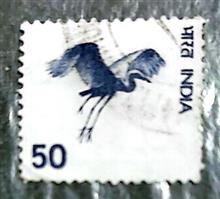 پرندگان