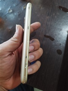 گوشی