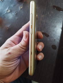 گوشی
