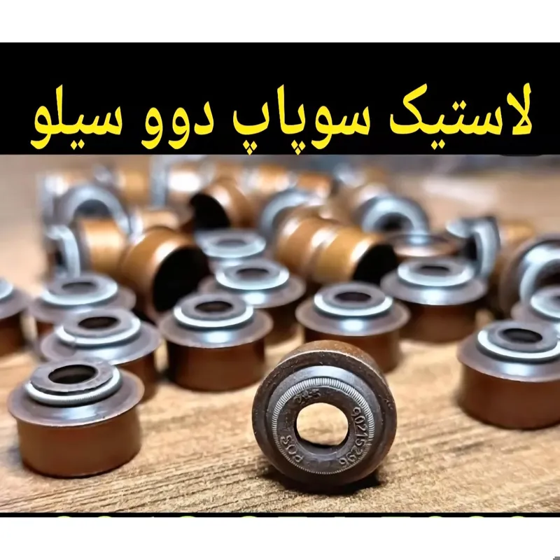 لاستیک گایدسوپاپ دووسیلو ریسر