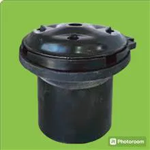 لیوانی