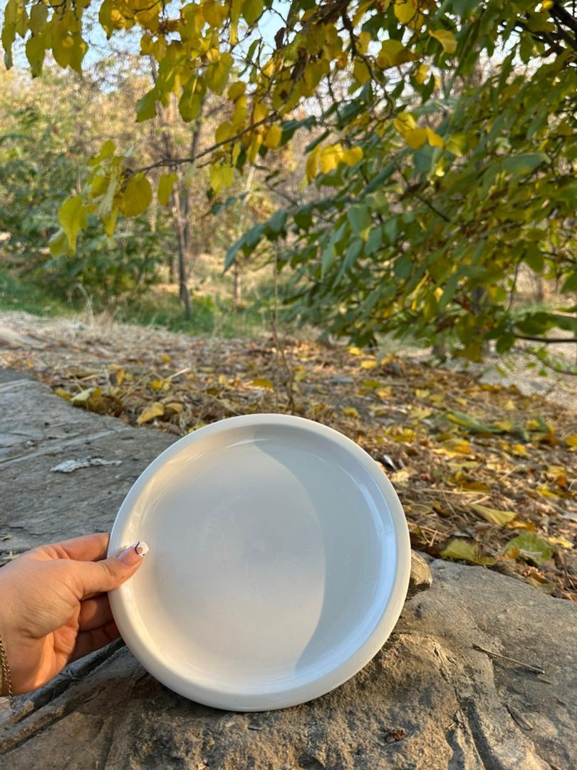 بشقاب تخت (میوه خوری) سرامیکی