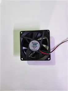 فن