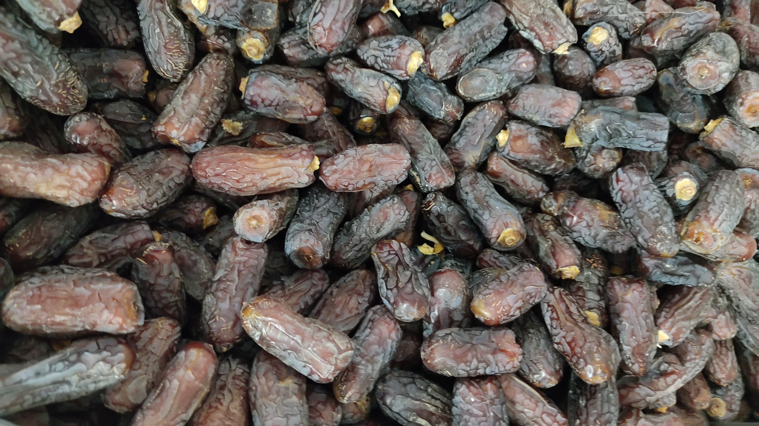 خرمای پیارم صادراتی درجه یک