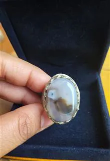 انگشترشجرسوزنی