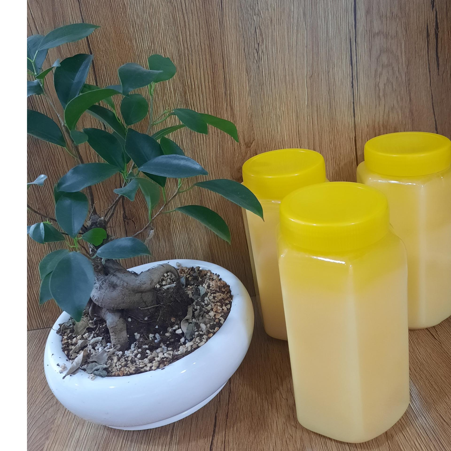 روغن گاو (روغن زرد حیوانی)