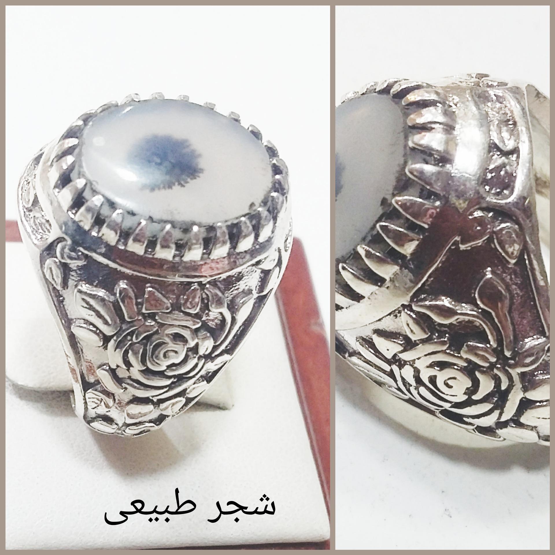 شجر طبیعی زیبا