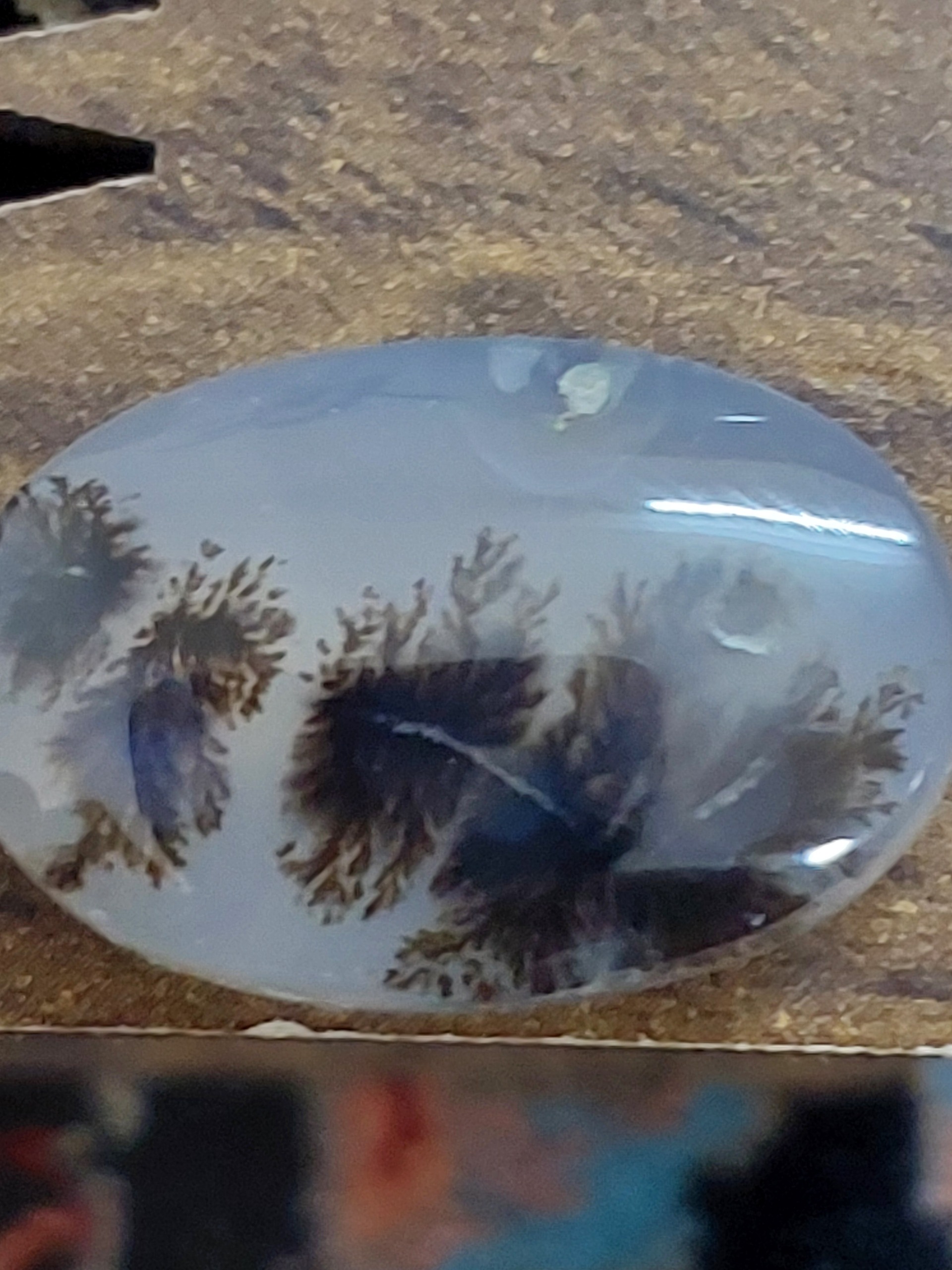 نگین شجر سوزنی اصل یمن