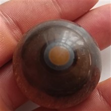 گوی