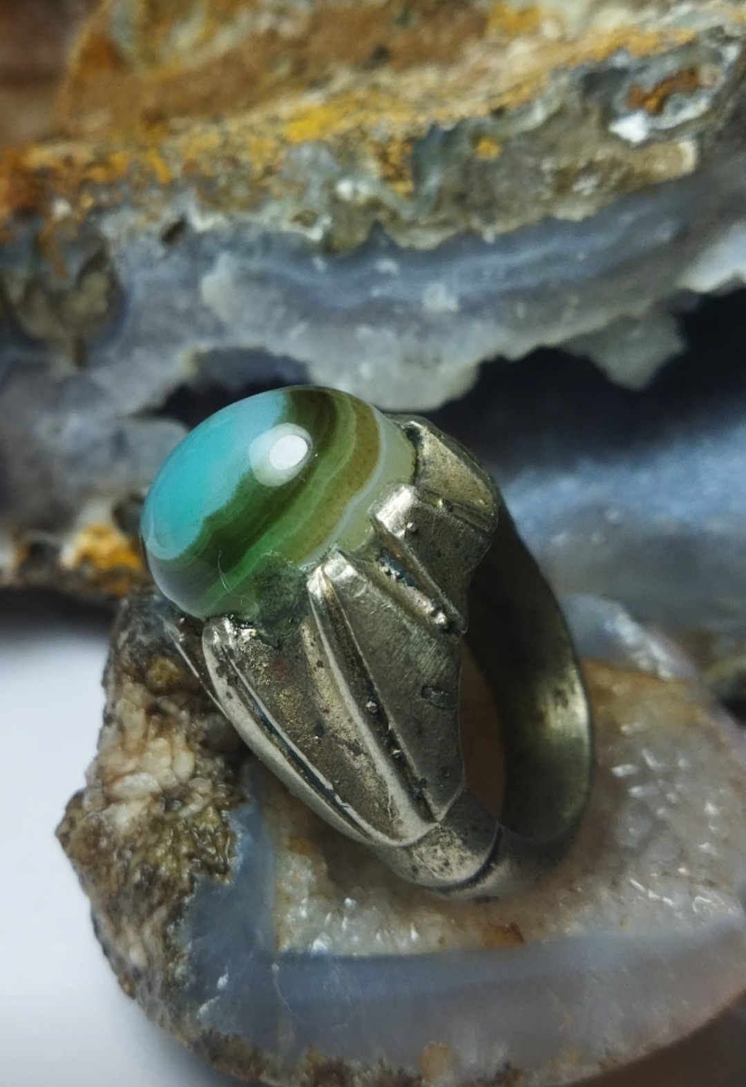 انگشتر سلطانی رگه ساحلی