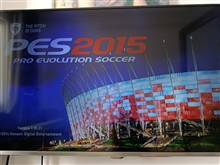 Pes