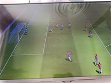Pes
