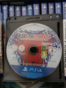 Pes
