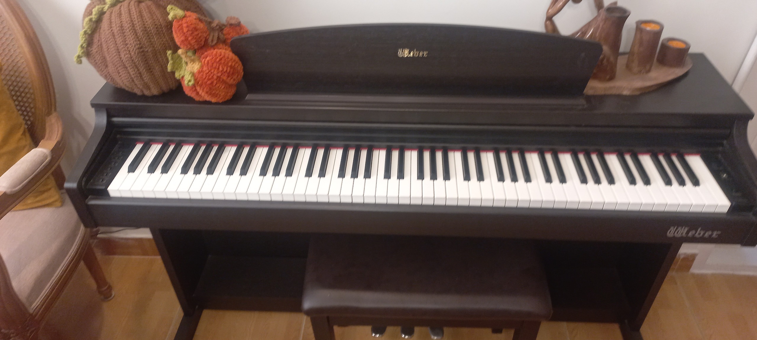 مدل وبر کره جنوبی