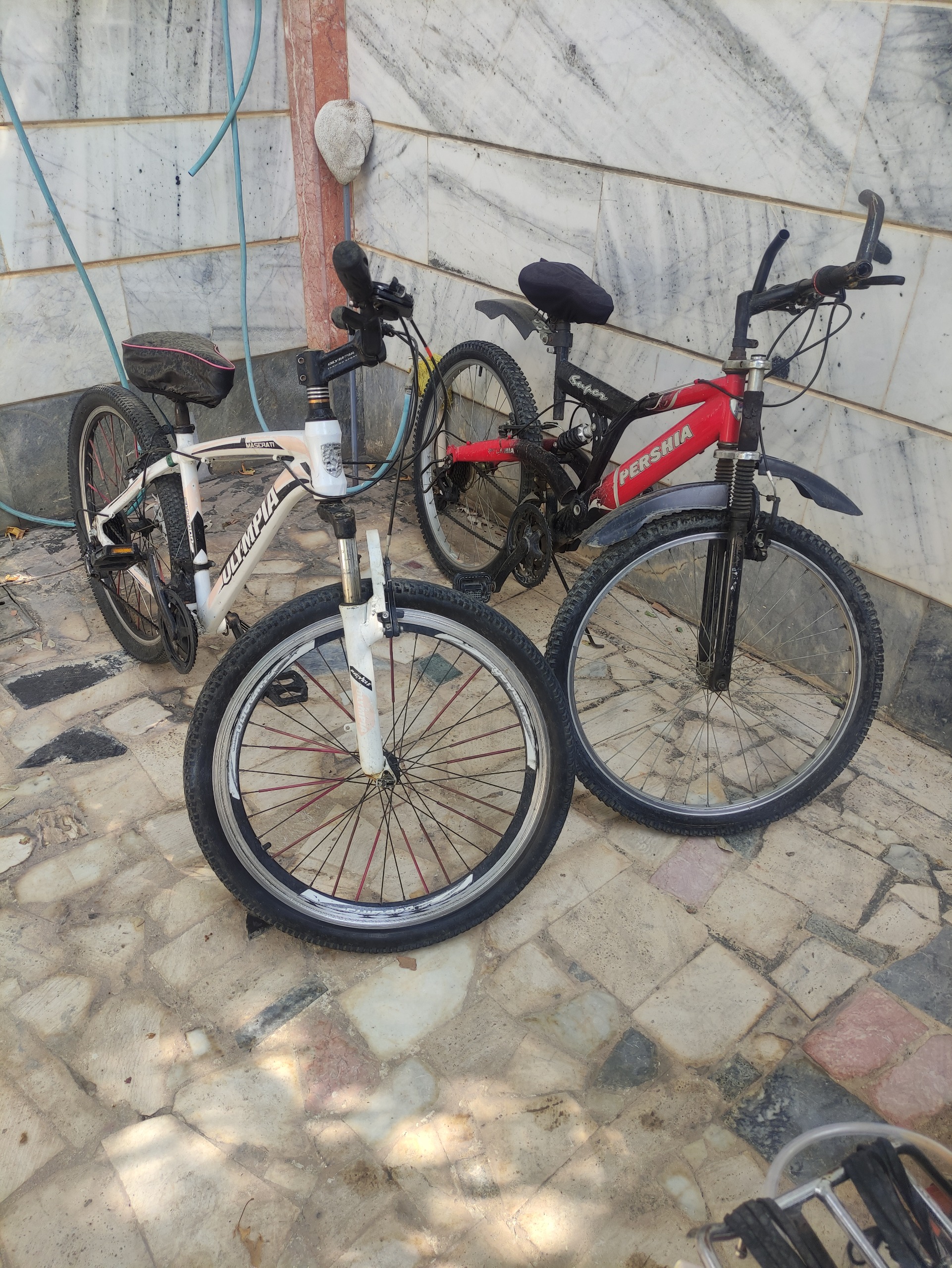 دو عدد دوچرخه