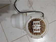 موتور