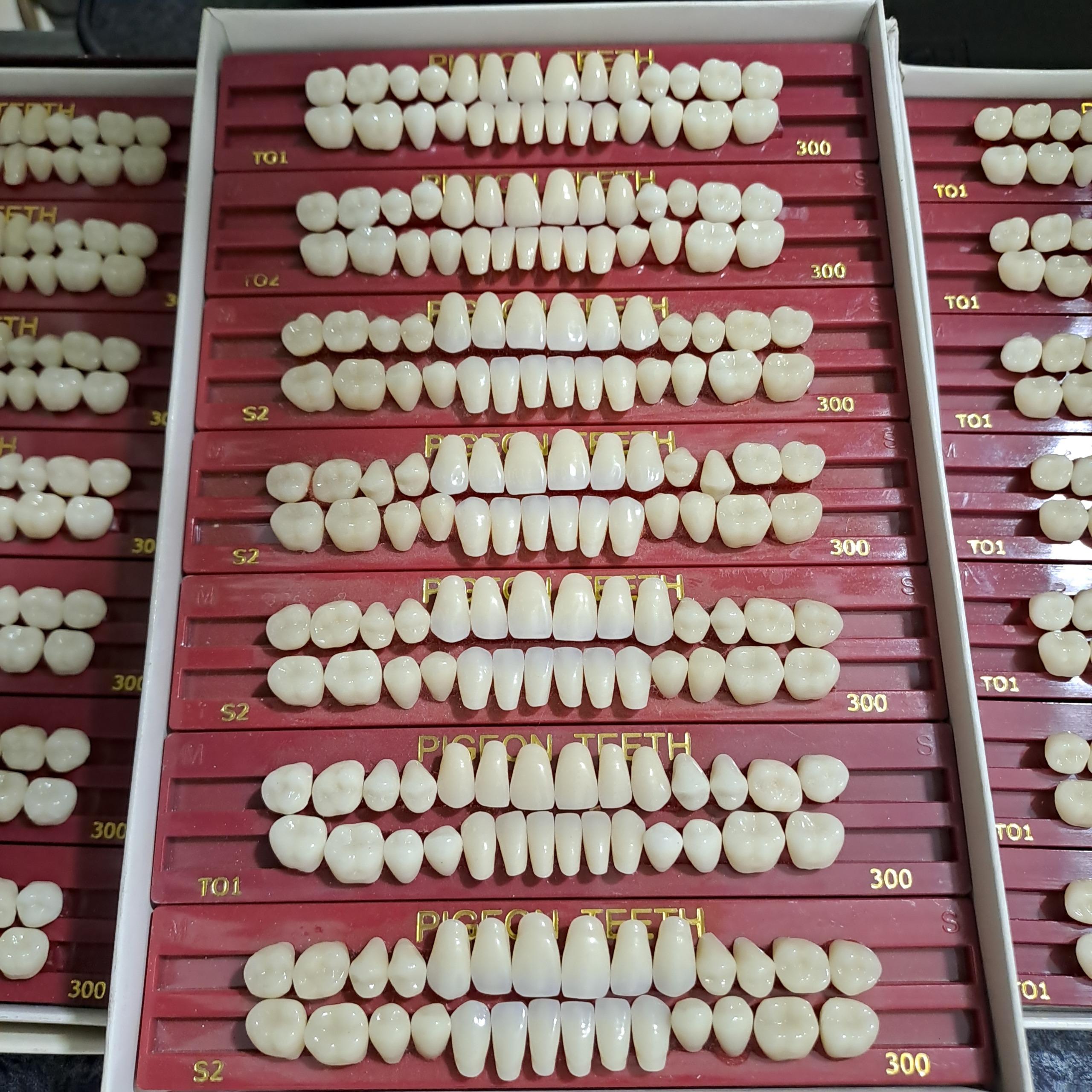 دندان اصلی ژاپنی