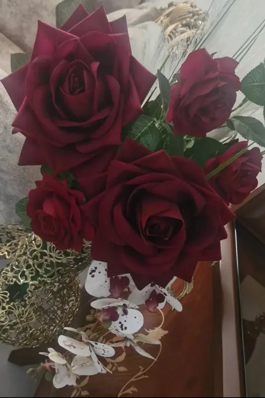 گل رز مخملی