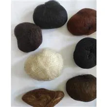 پروتز