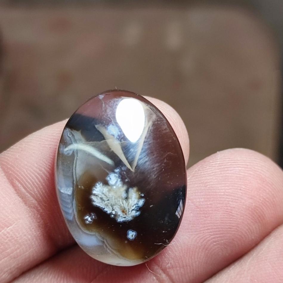 نگین شجر بهاری