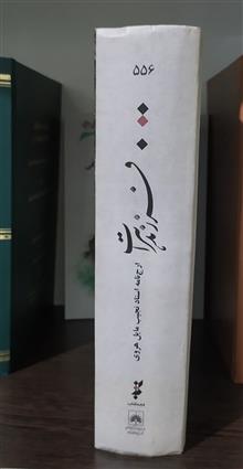 فرزند
