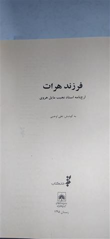 فرزند