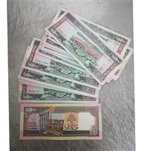 5جفت