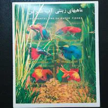 تمبرمینی
