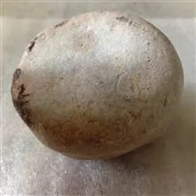 سنگ