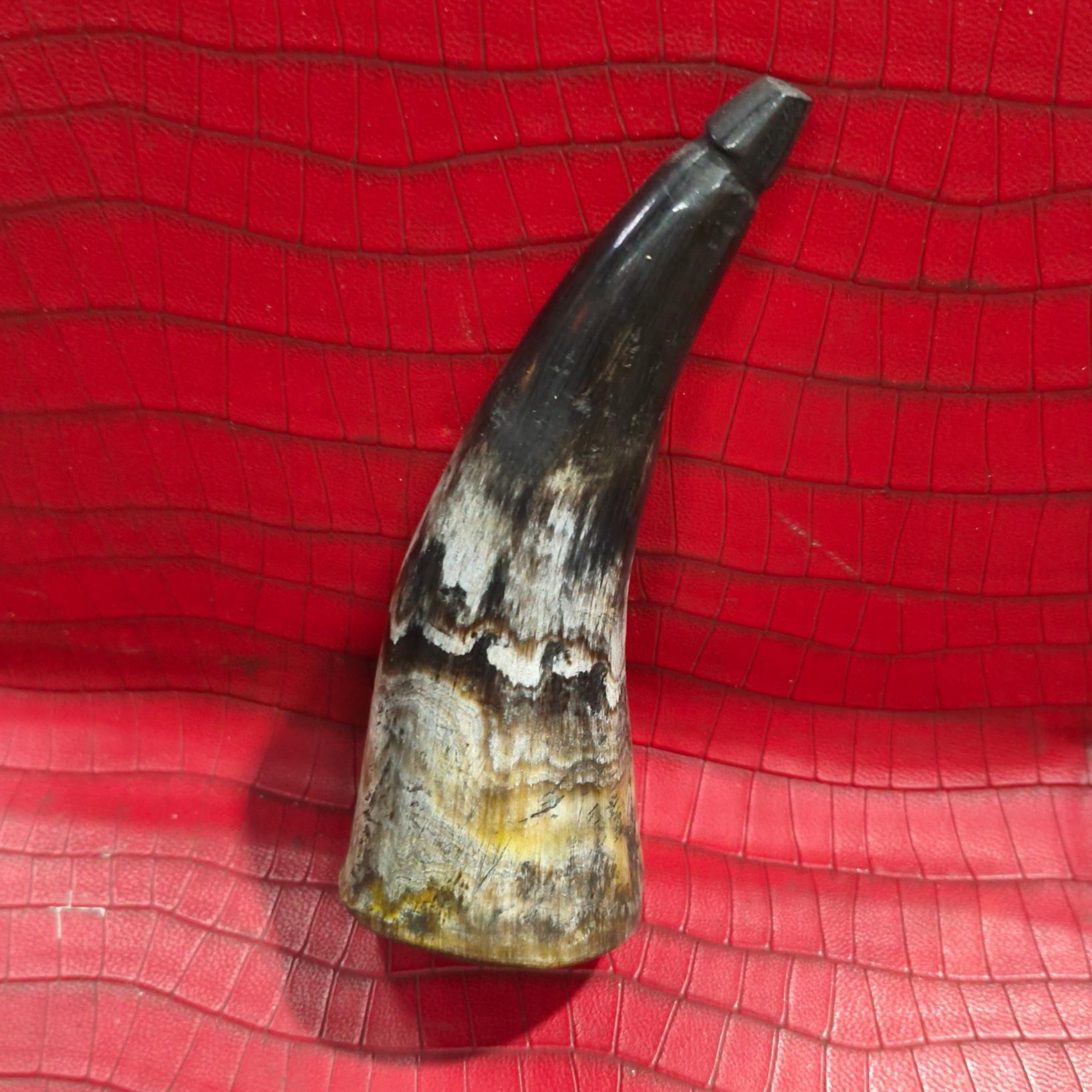 بادکش شاخ گاومیش