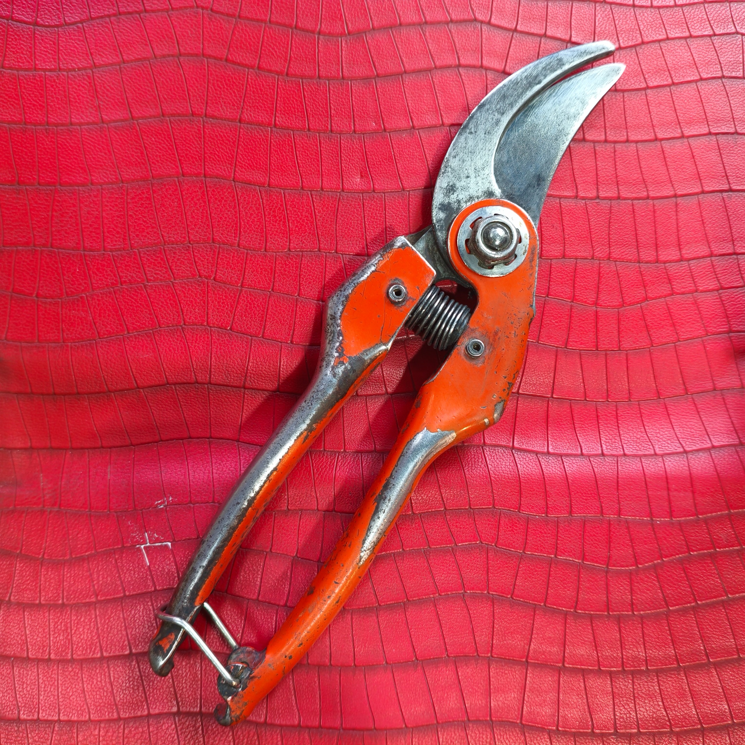 قیچی باغبانی باهکو فرانسه