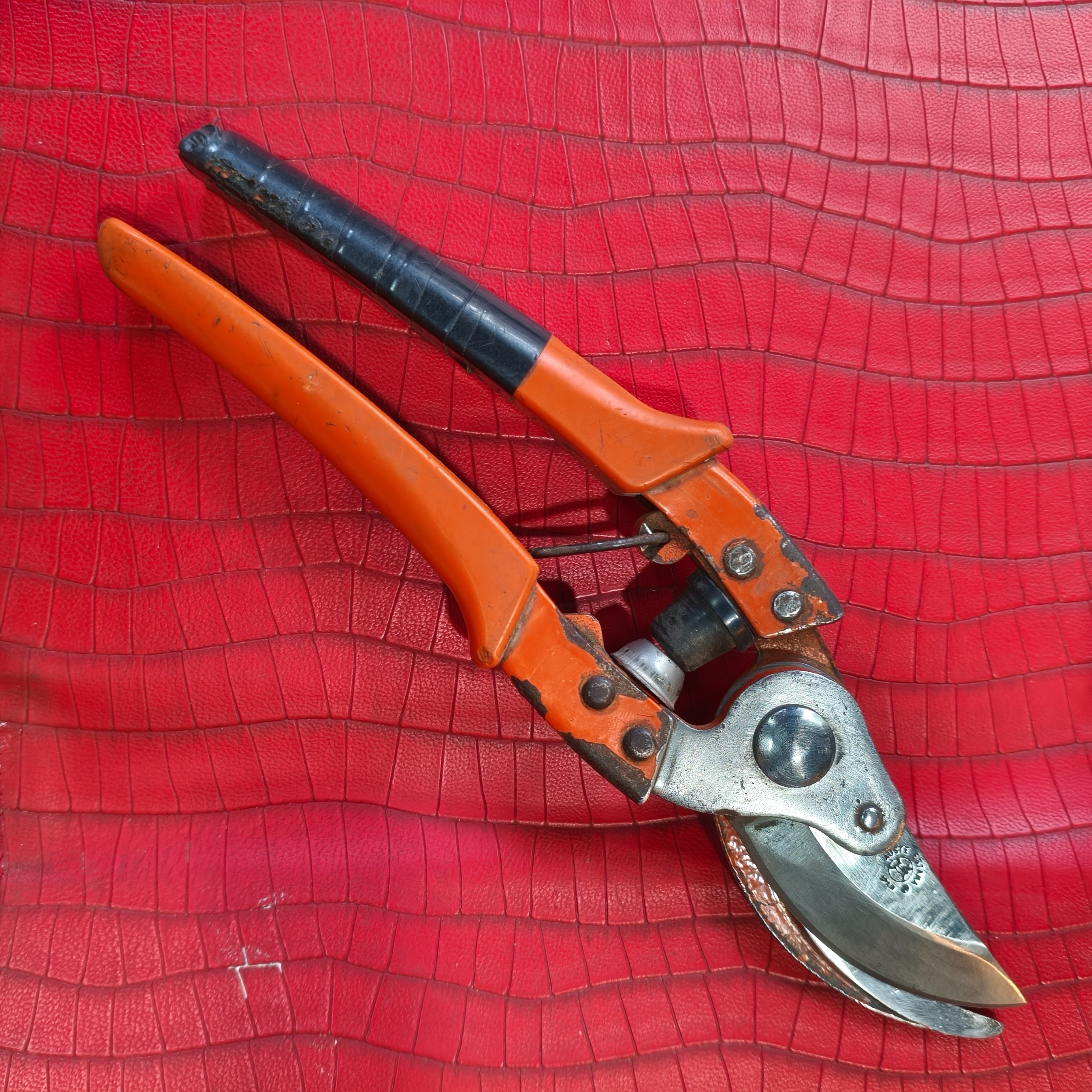 قیچی هرس آلتونا اسپانیا