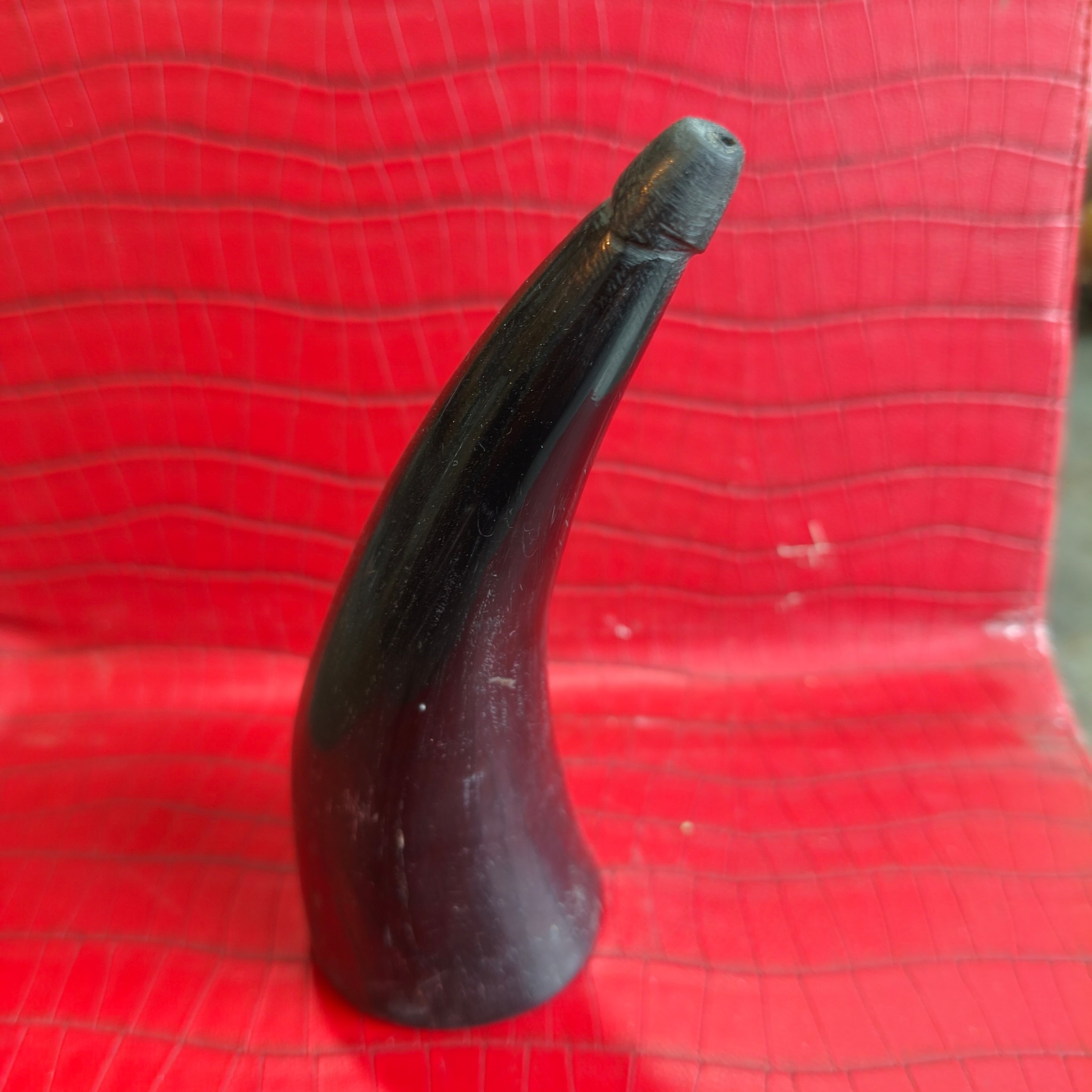 بادکش طبیعی شاخ گاومیش