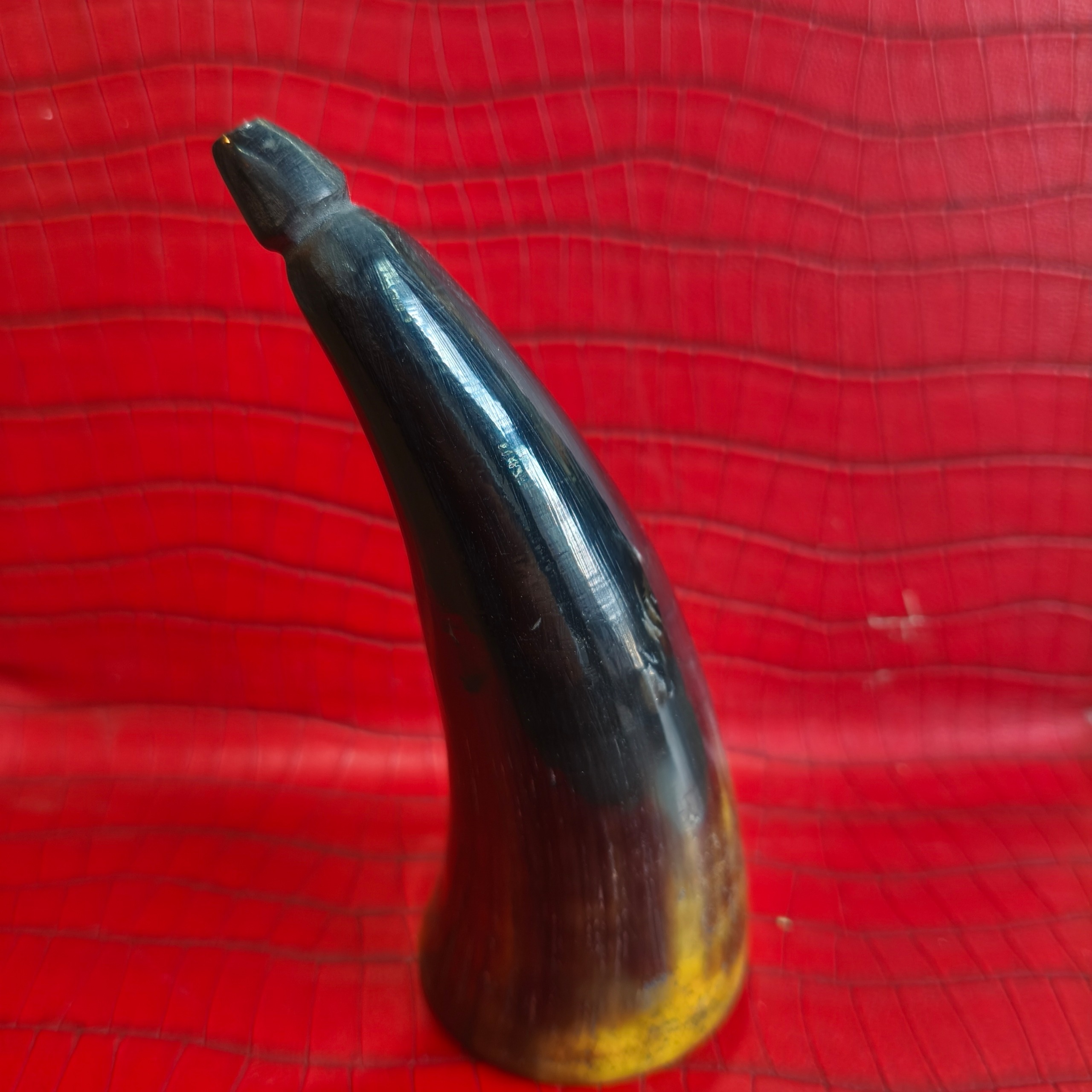 بادکش طبیعی شاخ (حجامت خشک)