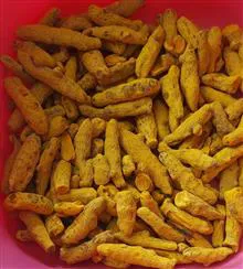 زردچوبه