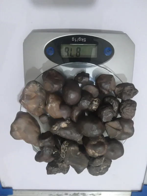 سنگ مشکوک به شهاب سنگ