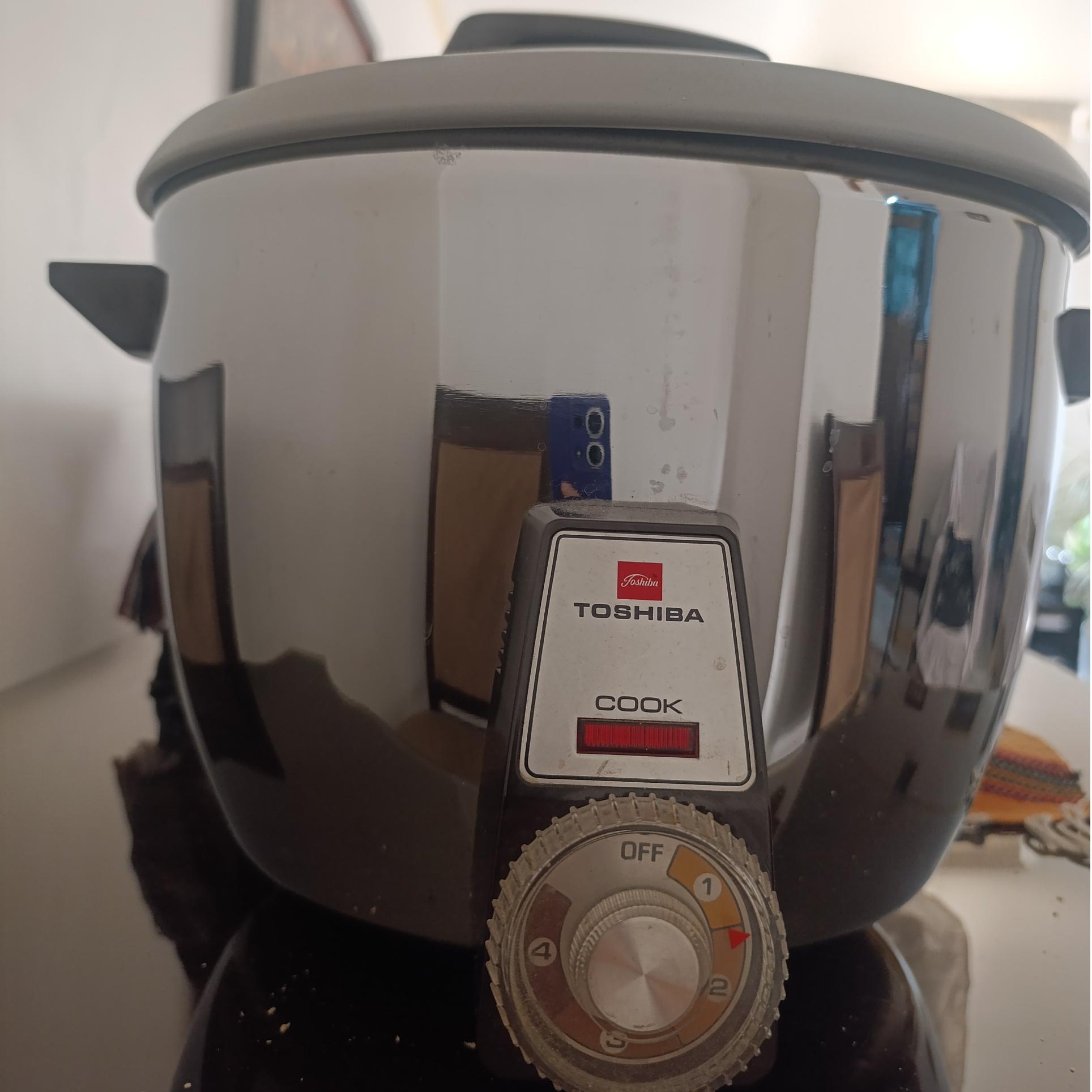 پلوپز توشیبا RC-361T