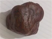 هبهاب
