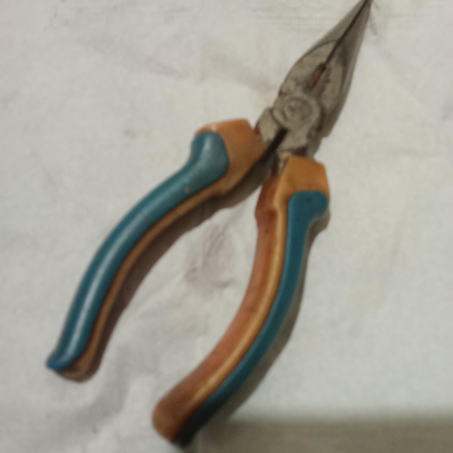 دم باریک سالم