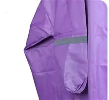 پـانچوی