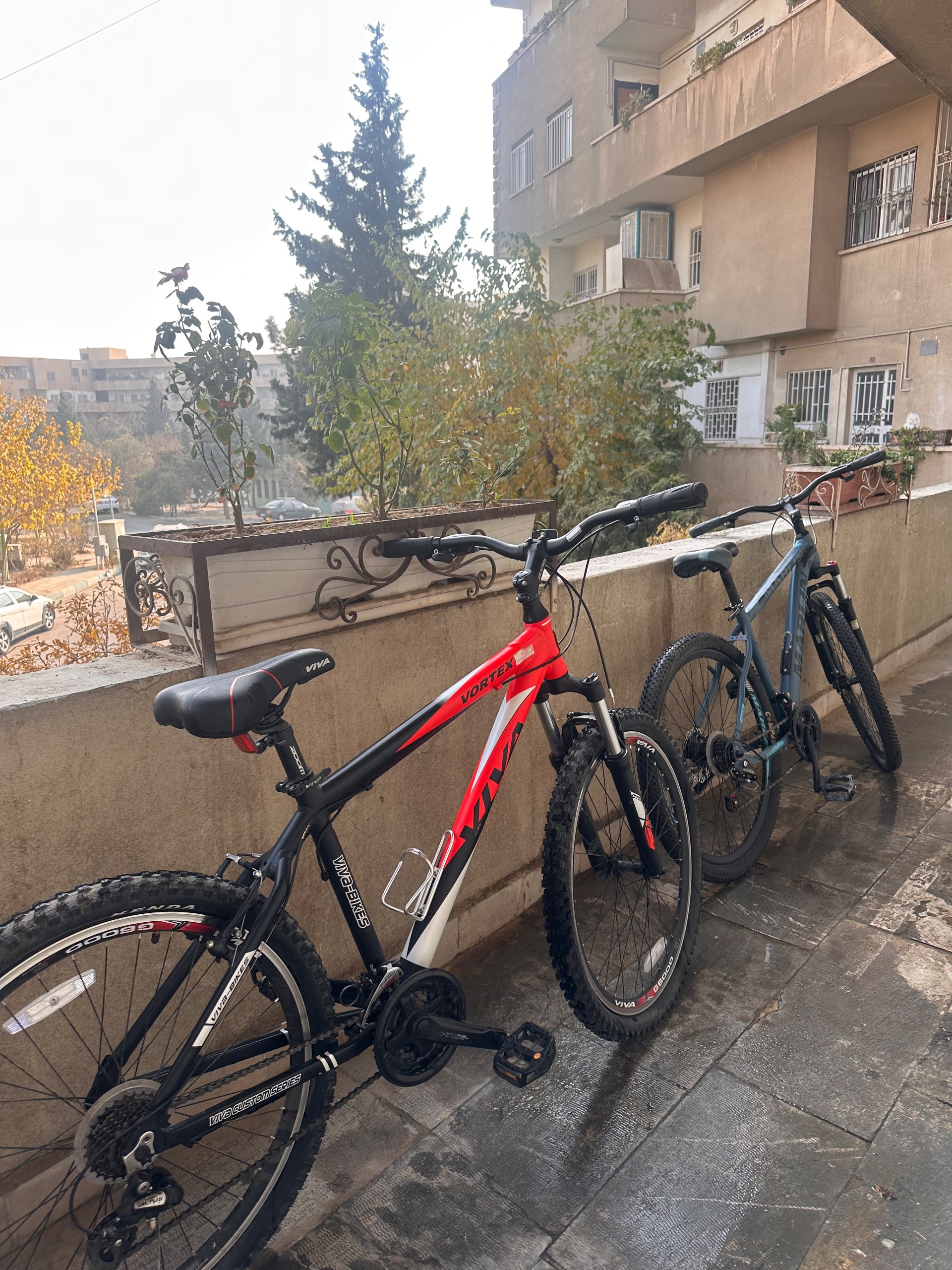 2عدد دوچرخه مدل وی وا /مارلین