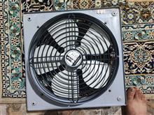 فن