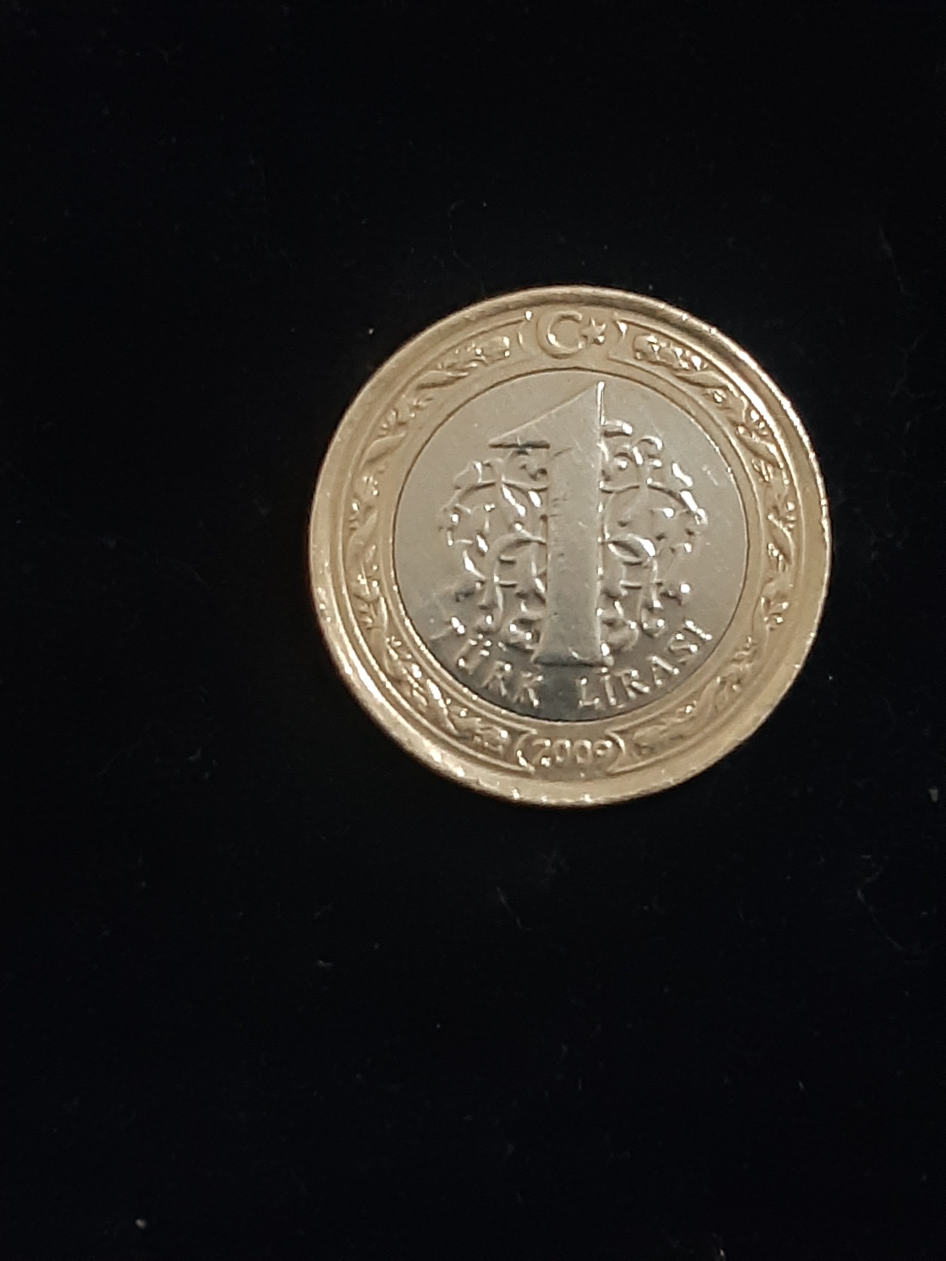 تک سکه خارجی 1 لیر ترکیه(2009)