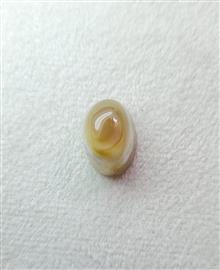 نگین