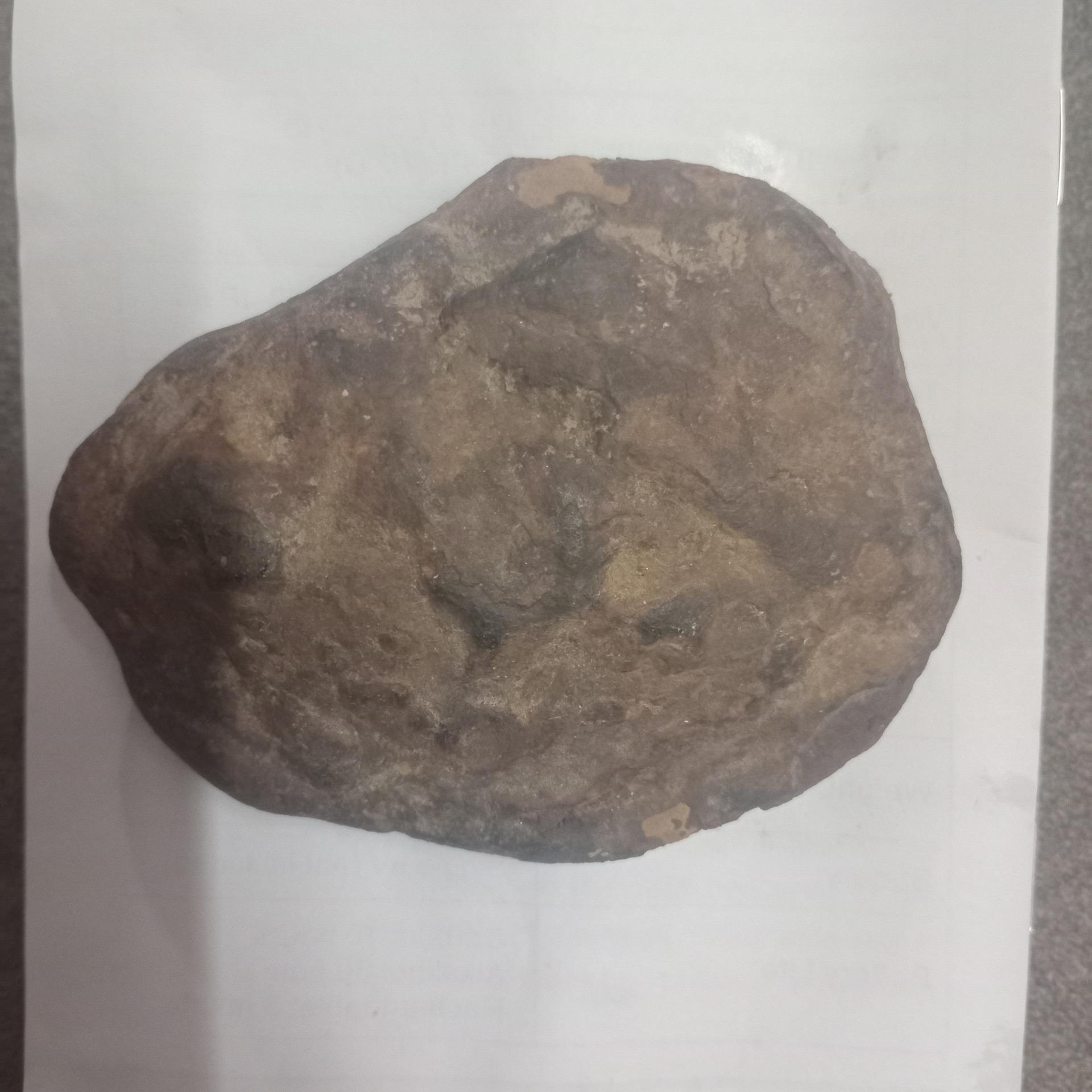 پیدا شده در مسیر رودخانه