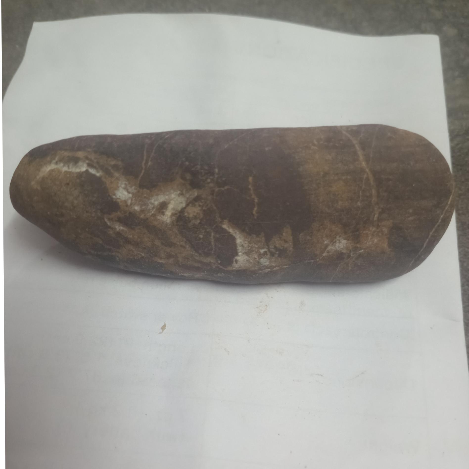 پیدا شده در جنگل