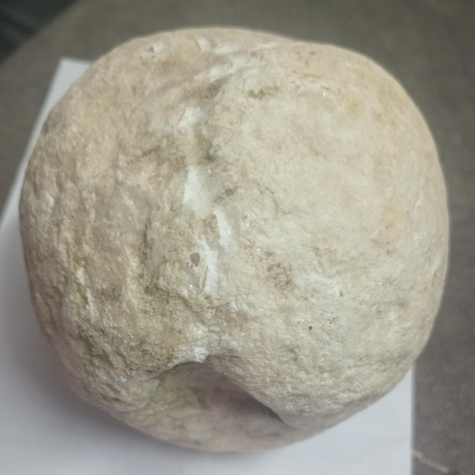 پیدا شده در جنگل