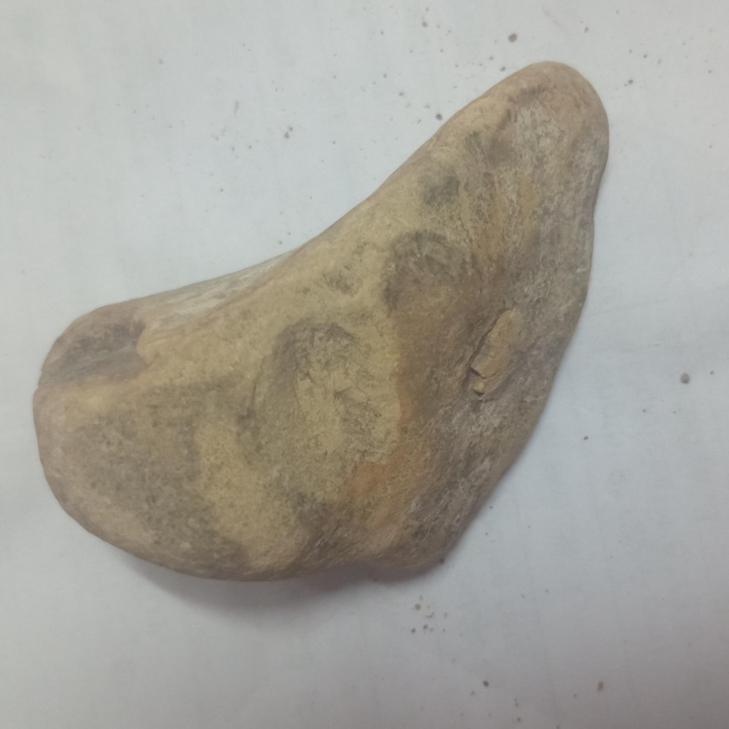 پیدا شده در جنگل